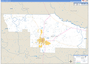 Ben Hill County Wall Map Basic Style